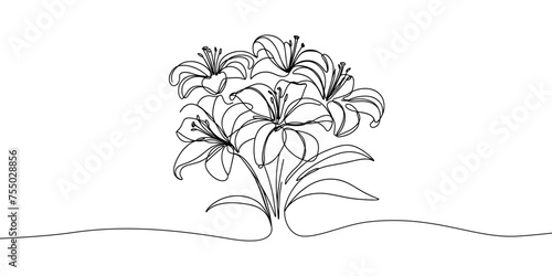 Line art, bouquet of lily flowers , drawing with one line, vector illustration white background.