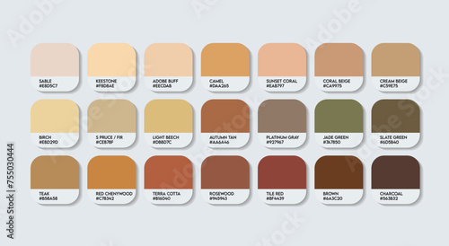 Brown Color Palette, Brown Color Guide Palette. Catalog Samples cream and brown with RGB HEX codes. metal color palette Vector, wood color palette