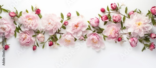 A row of pink blossoms with green leaves, creating a beautiful contrast against the white background. The flowers look like a piece of art in nature