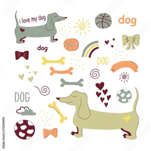 Dachshund and accessories for dogs. Vector illustration. Flat design. Hand-drawn