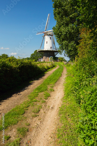 Windmill in Veere, the Netherlands