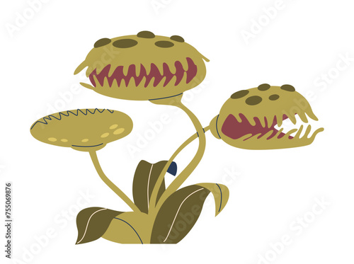 Venus Flytrap Is A Carnivorous Plant With Hinged, Tooth-like Structures That Snap Shut When Triggered By Prey