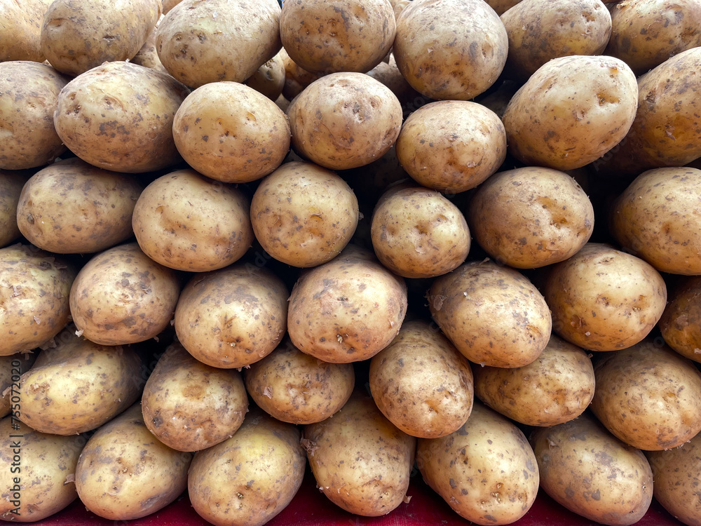 Potato group in detail as a background, fresh vegetables from a market close up, autumn fruits. Healthy eating. Natural eco-farm product grown in a Greek garden. Potato group in detail as a background, fresh vegetables from a market close up, autumn fruits. Healthy eating. Natural eco-farm product grown in a Greek garden.
