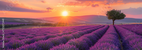 lavender field at sunset, AI generated