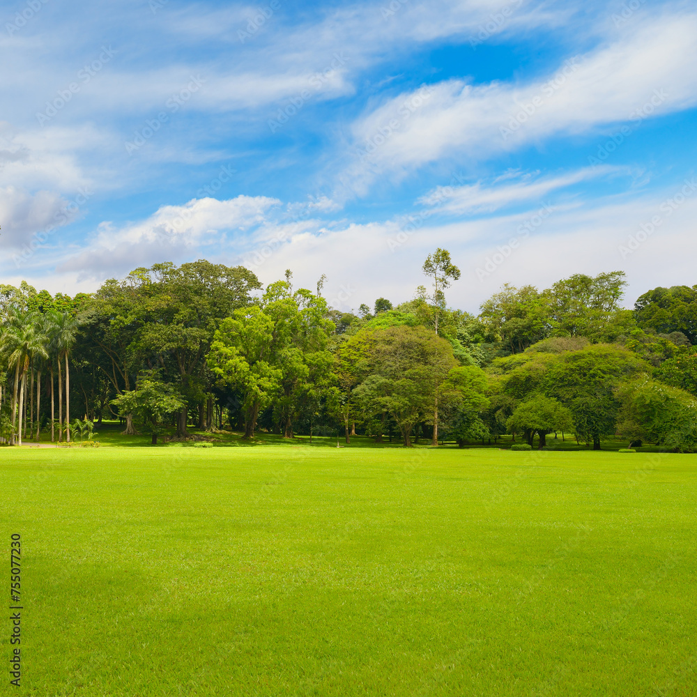 Beautiful large park with green lawn covered with grass.