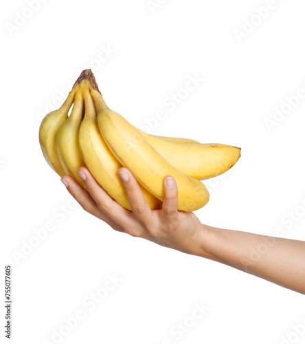 Hand holding banana fruit bunch on transparent background.