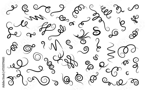 curl  swirl elements. decorative monogram.