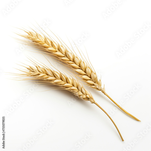 An ear of wheat, white background, professional photo сreated with Generative Ai