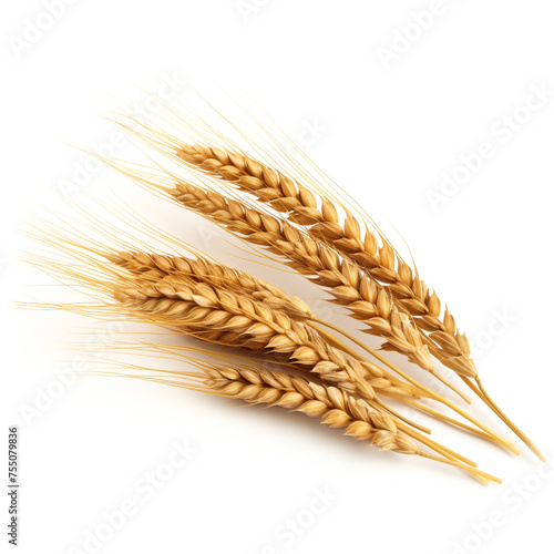 An ear of wheat, white background, professional photo сreated with Generative Ai