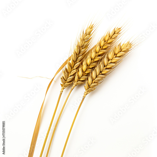 An ear of wheat, white background, professional photo сreated with Generative Ai