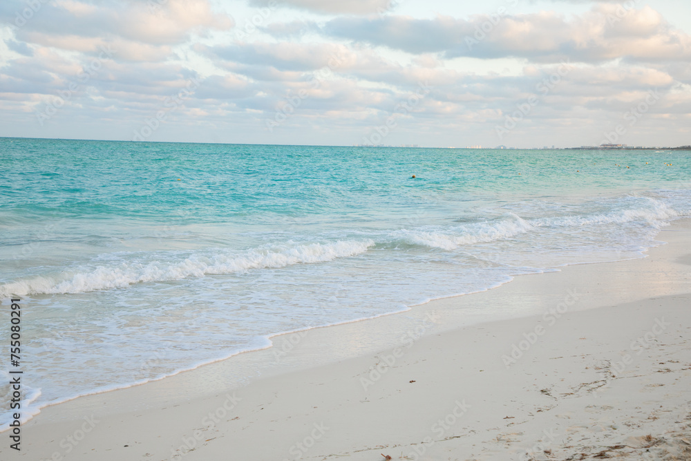 Ocean Ocean