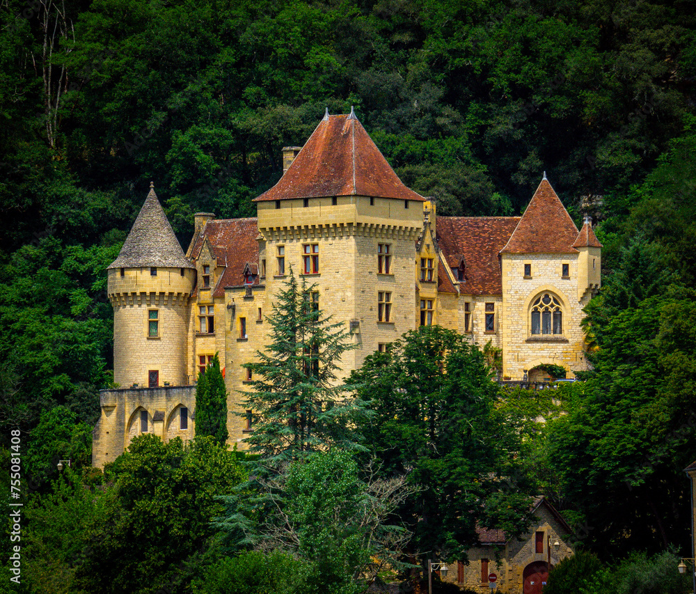 Old castle surrounded by a lush forest