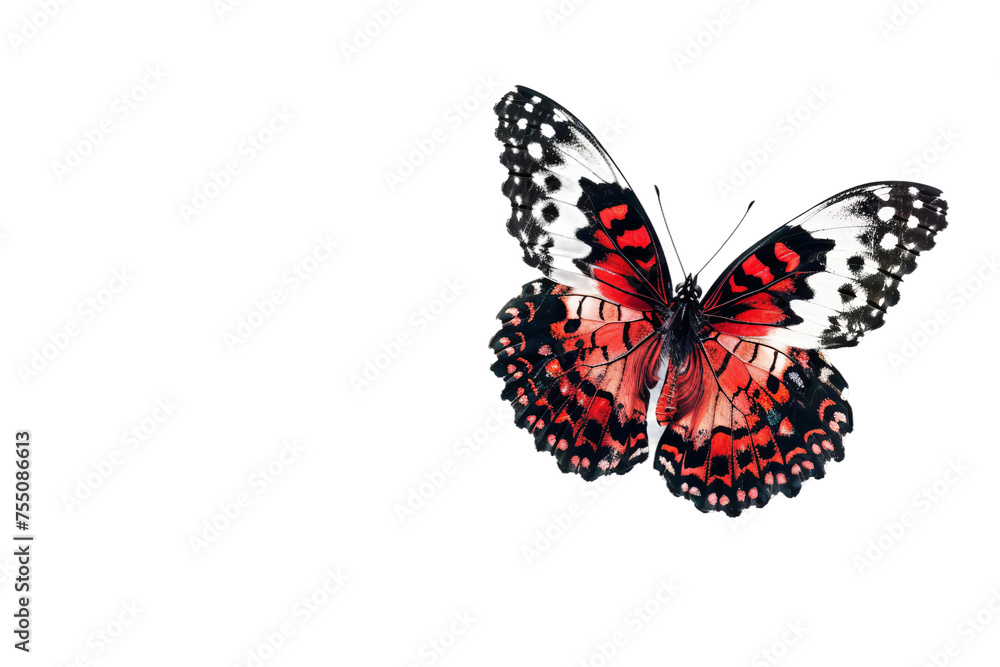 colorful isolated butterflies on white background
colorful isolated butterflies on white background