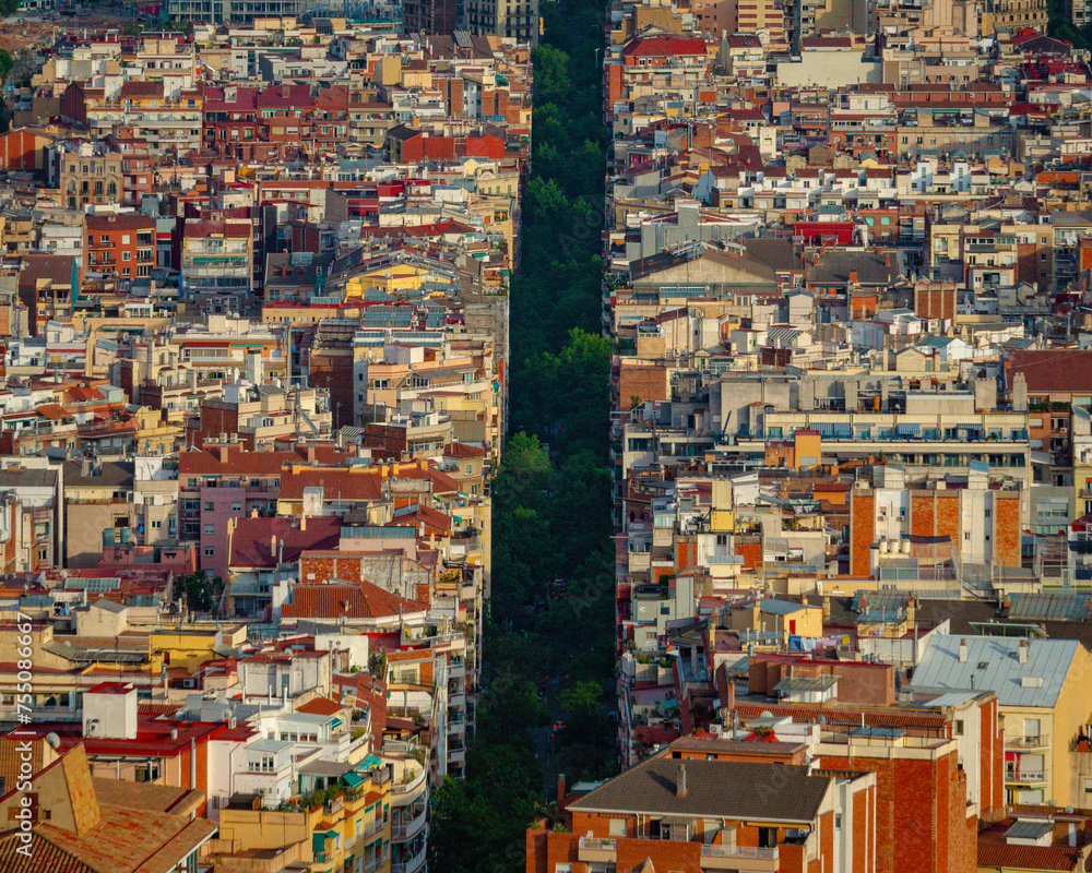View of a long city street. Green avenue in Barcelona.