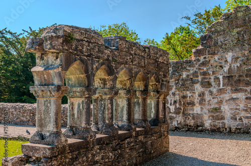 Ireland, Augustinian abbey of Cong LR24