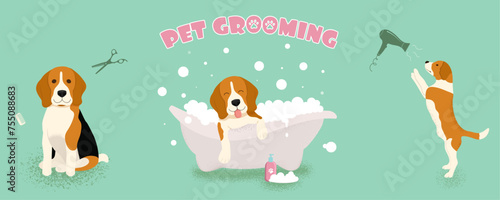 Dog in grooming salon. Cutting, bathing, hairdrying.  Colored vector illustrations set in flat  style.