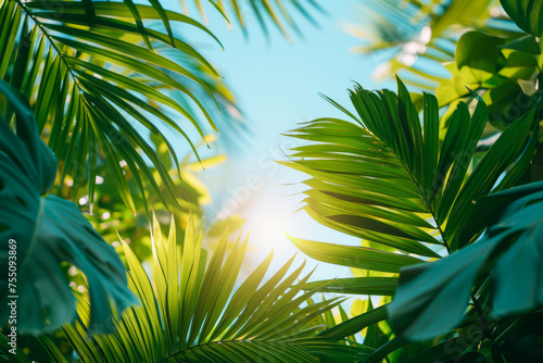 Lush green palm fronds illuminated by bright sunshine with a clear blue sky backdrop © smth.design