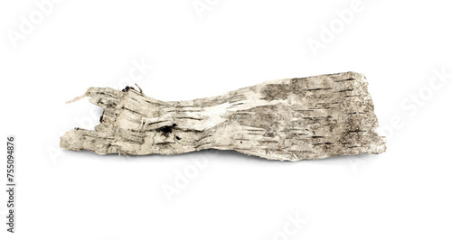 Isolated piece of birch bark on the white. Bark of birch wooden background.