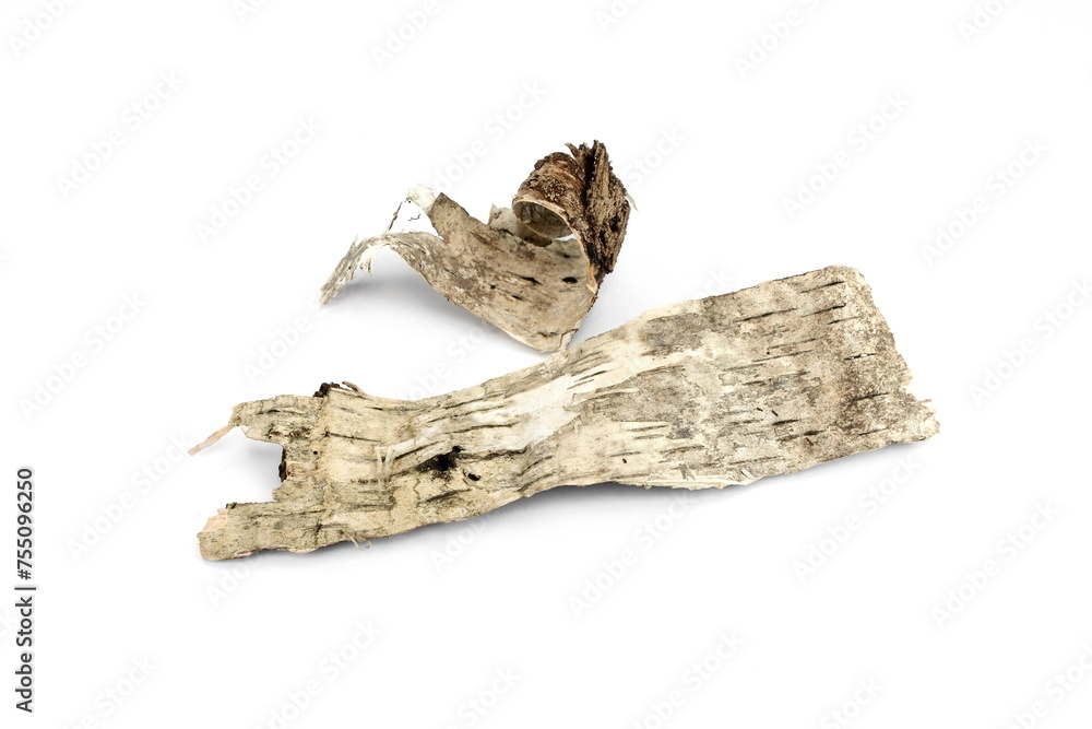 Isolated piece of birch bark on the white. Bark of birch wooden background.