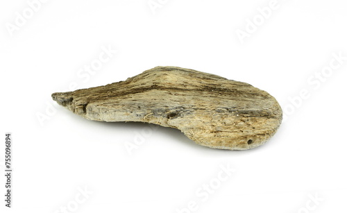 Piece of driftwood isolated on white background. Decorative bogwood. photo