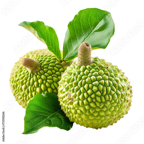 breadfruit isolated on transparent background With clipping path.3d rendering photo