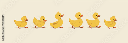 Five walking ducks