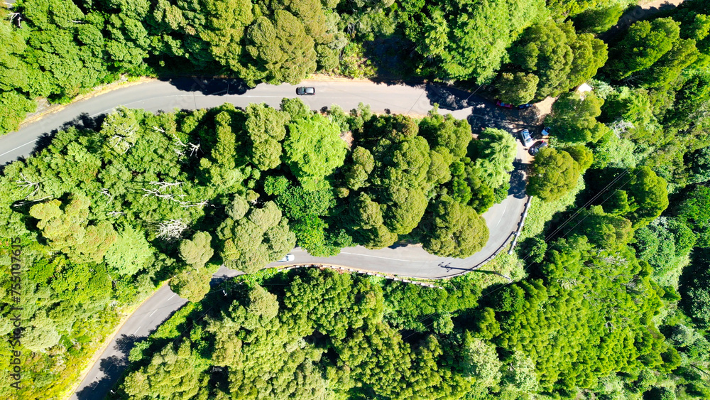 Downward aerial view of a beautful windy road across a forest