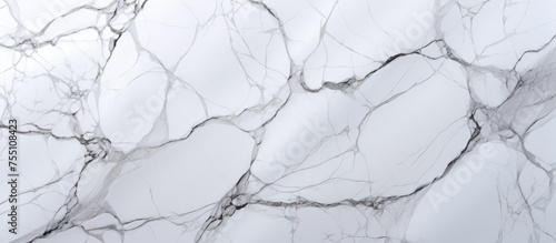 A detailed view of a white marble surface showcasing its intricate natural pattern and texture. The veins and unique markings of the marble are highlighted in this close-up shot.