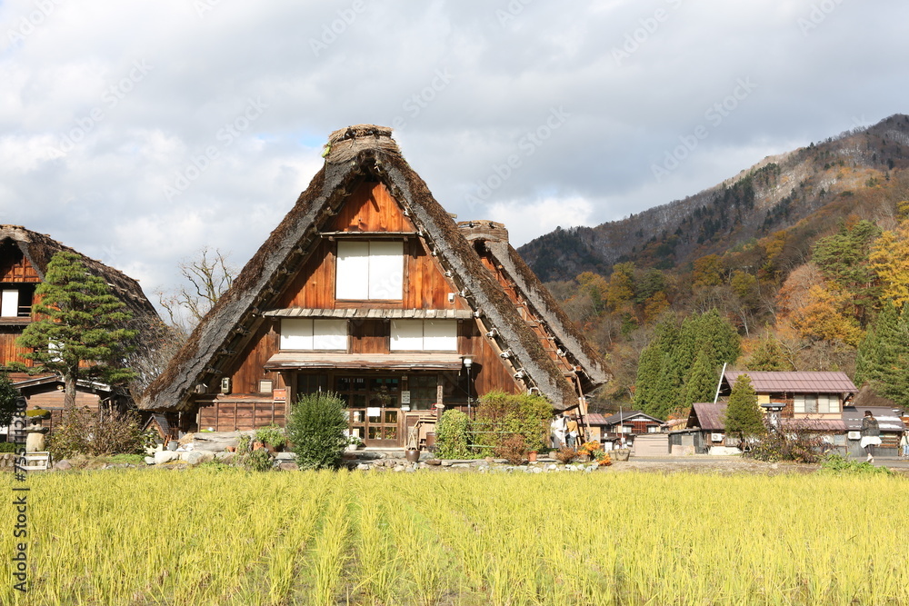 Traditional and Historical Japanese village Shirakawago in autumn season. High quality photo Traditional and Historical Japanese village Shirakawago in autumn season. High quality photo