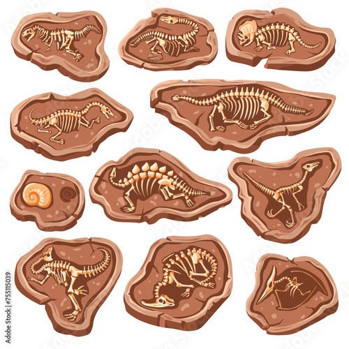 Dinosaur bones fossils. Reptile fossil in ground stone, cartoon lizard skeleton jurassic dinosaurs body bone for museum archaeology animal excavation set recent vector illustration