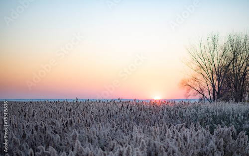 Sunset over a  Is white field