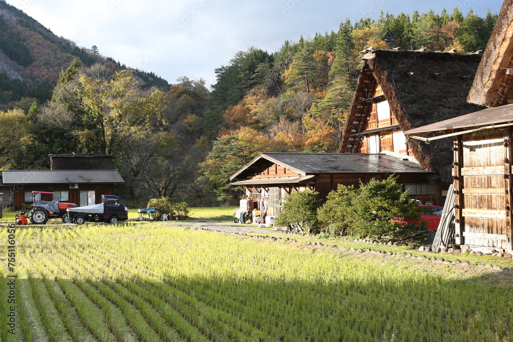 Traditional and Historical Japanese village Shirakawago in Gifu Prefecture Japan. High quality photo