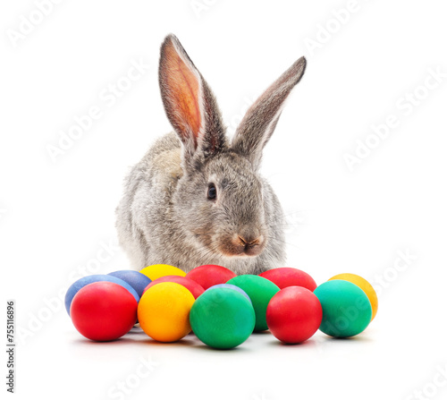 Rabbit and Easter eggs.