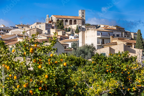 Villagescape of Selva with gothic catholic parish church Església de Sant Llorenç and orange trees, Majorca, Mallorca, Balearic Islands, Spain, Europe