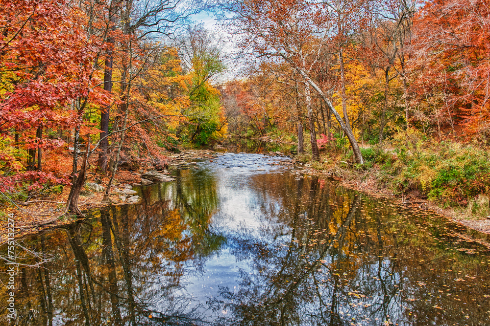 Autum Leaves