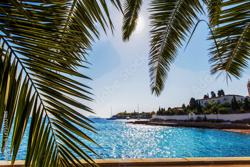 Amazing view on Spetses island and Mediterranean Sea through palm leaves , sun shining