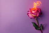 Flaming rose flower. Love concept with flower and fire. Banner with copy space for text or logo