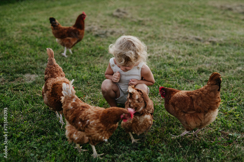 Little girl squating among chickens on a farm, chasing them. Having fun during the holidays at her grandparents' countryside home. photo