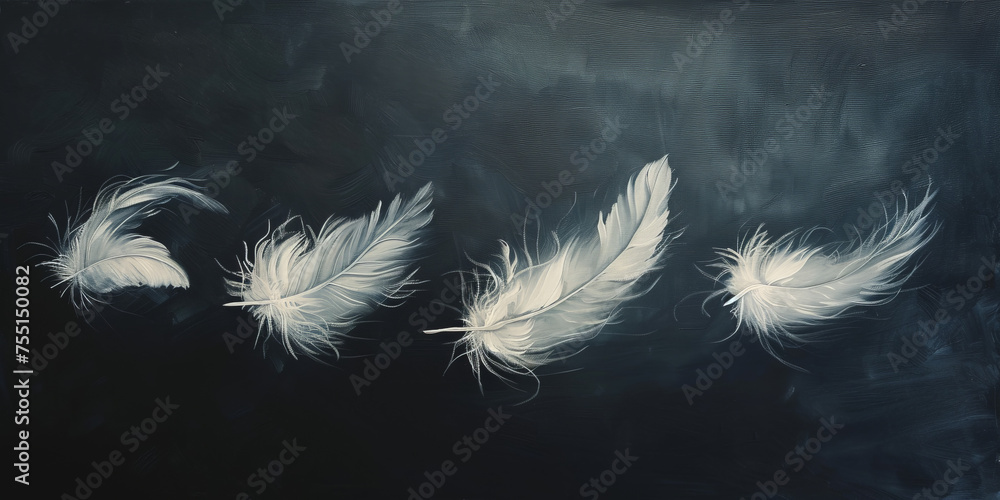 Obraz premium white feather on black background