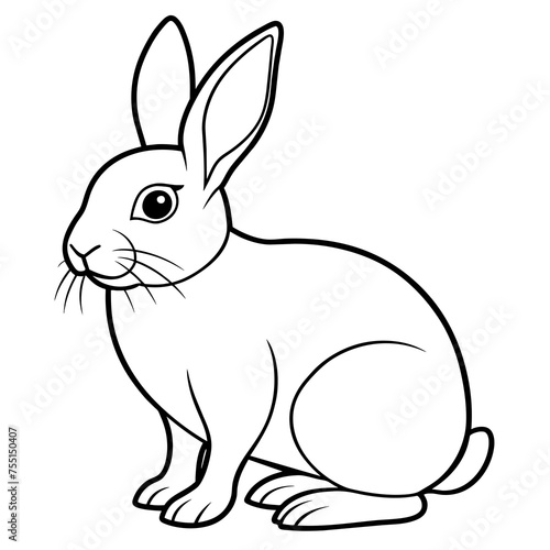 rabbit © ergn