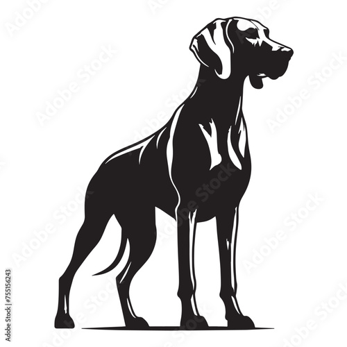 The Weimaraner Dog silhouette  Weimaraner Breed  Black and White Illustration