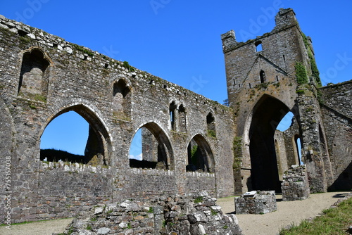 Ruins of Dunbrody Abbey  Dunbrody  Campile  Co Wexford  Ireland