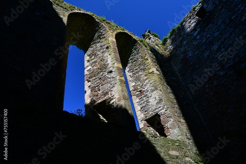 Ruins of Dunbrody Abbey, Dunbrody, Campile, Co Wexford, Ireland photo