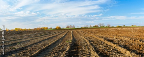 Agricultural land that has been plowed is ready for growth