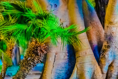 Obraz na płótnie palm trees exoticism