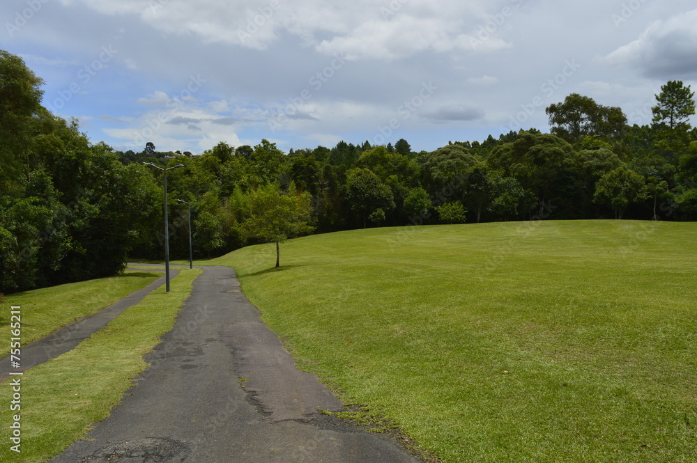 Caminho no parque