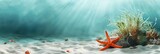 Beautiful nautical theme banner with starfish, beach sand, sea plants, seaweed on blue water background in sunlight with space for text