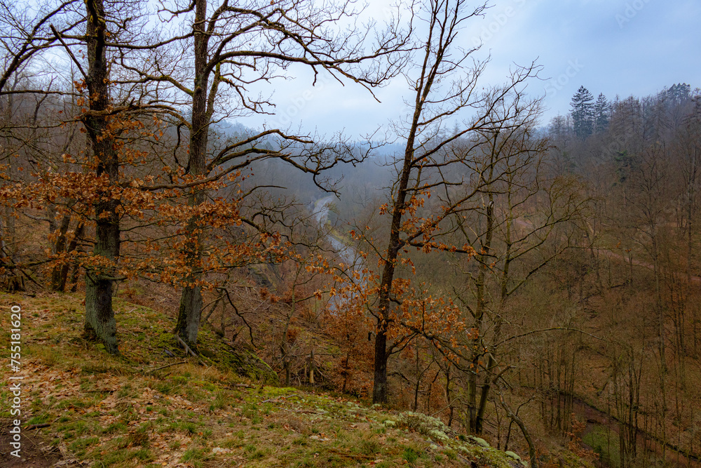 Wunderschöne Aussicht von einem Berg auf eine Straße und Wald Wunderschöne Aussicht von einem Berg auf eine Straße und Wald