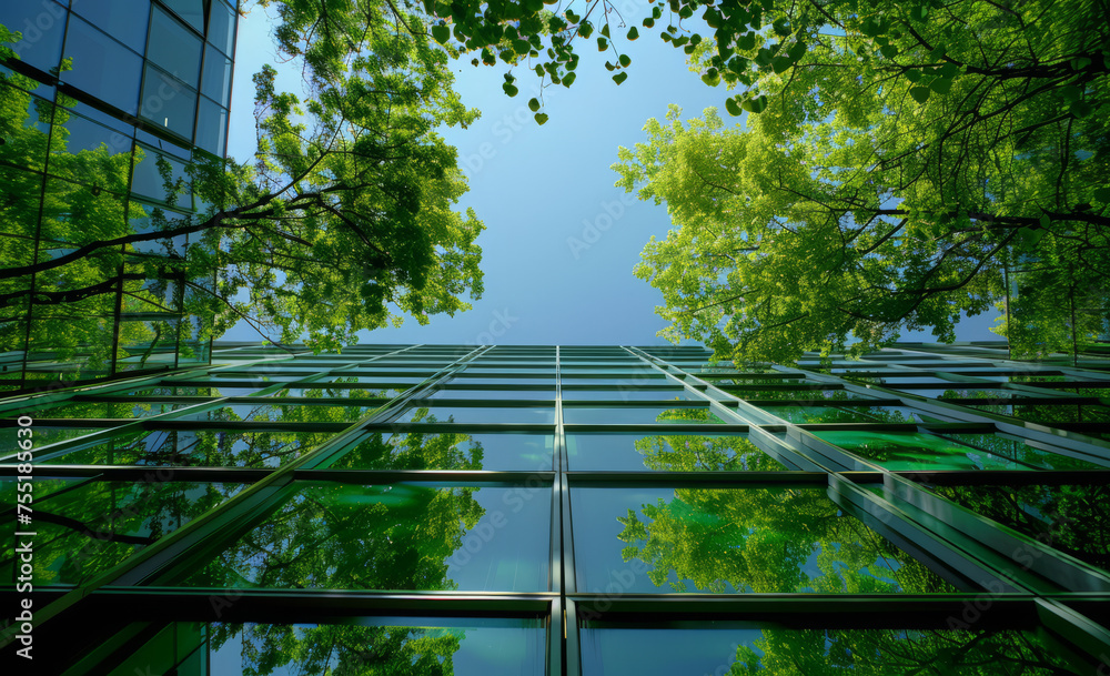 Trees and sky reflected in the glass facade of modern building Trees and sky reflected in the glass facade of modern building