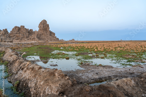 Djibouti, vieuw at the lake Abbe with its rock formations photo